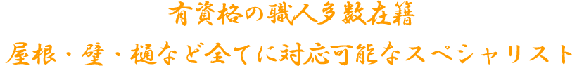 有資格の職人多数在籍屋根・壁・樋など全てに対応可能なスペシャリスト